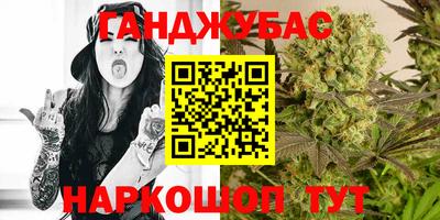 гашик Бузулук