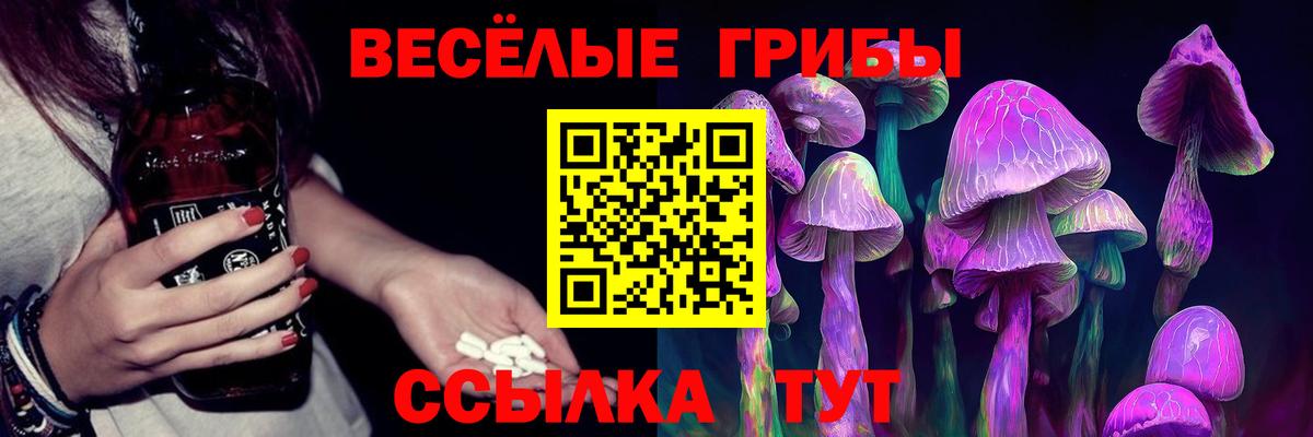 Галлюциногенные грибы GOLDEN TEACHER  Псилоцибиновые грибы Cubensis  Краснокамск  Вход с VPN 